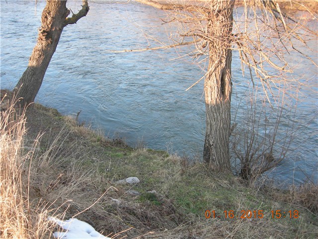 arčilend